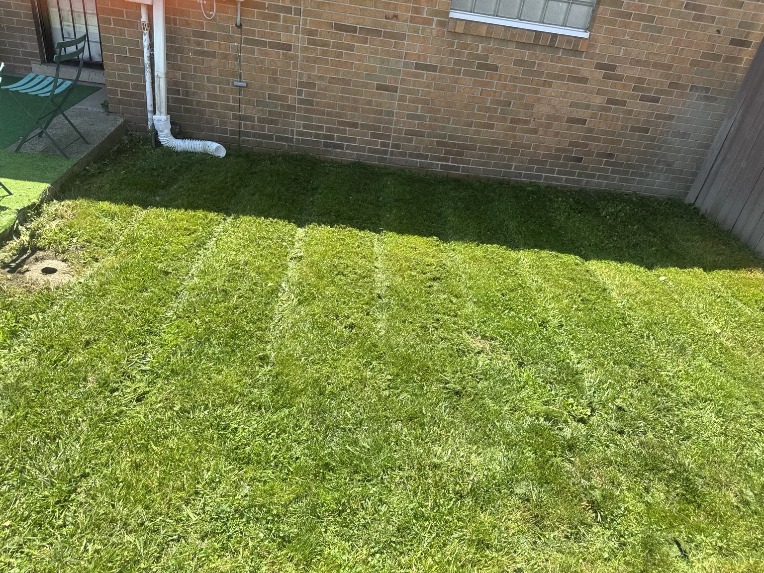 Fresh lawn along a brick home