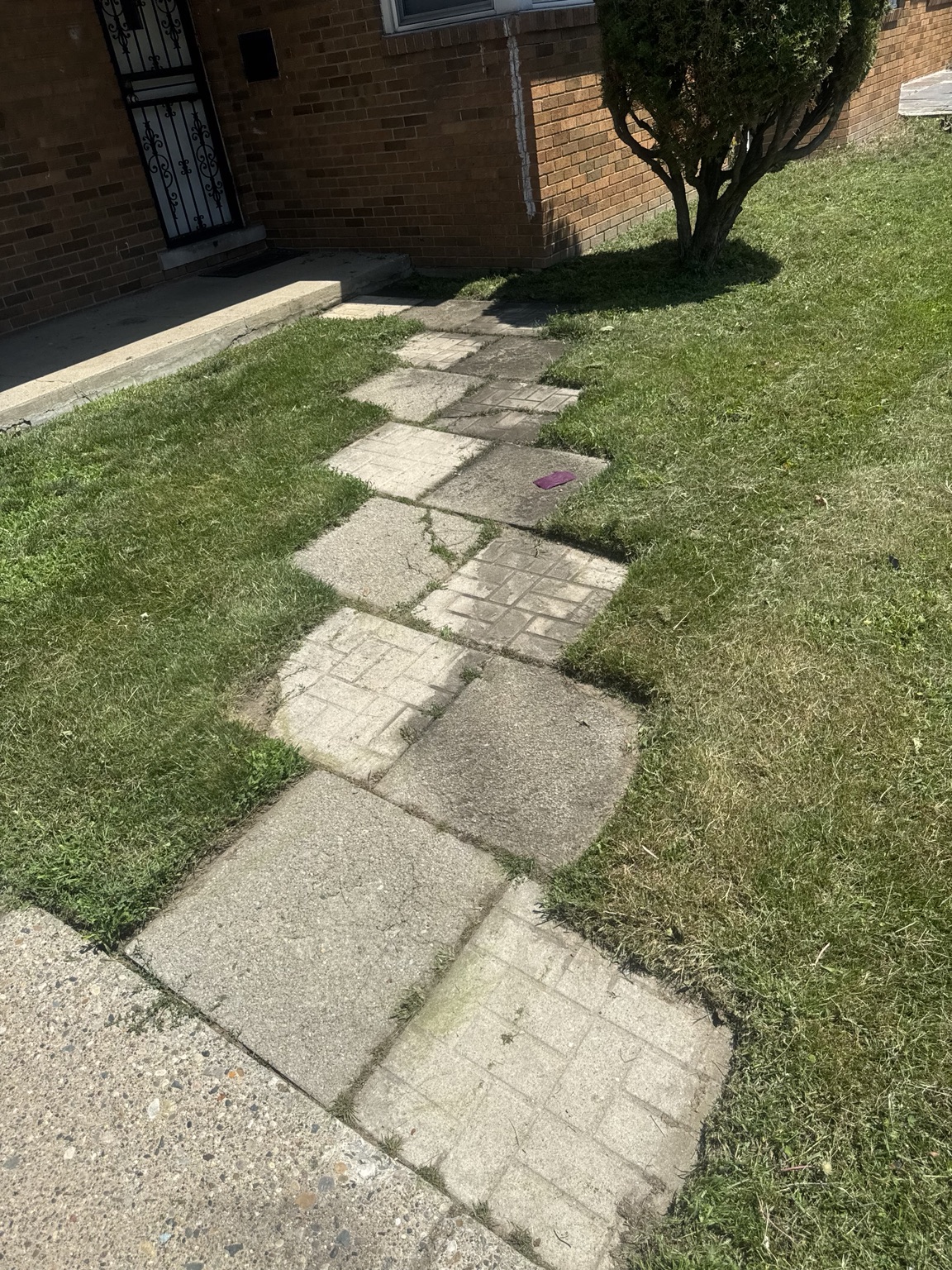 Clean walkway and lawn after B&J Lawn Care service